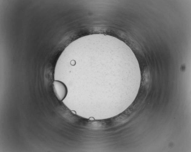 X0000116660522201001111252