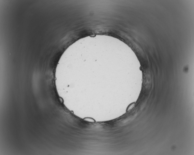 X0000116660523201001111252