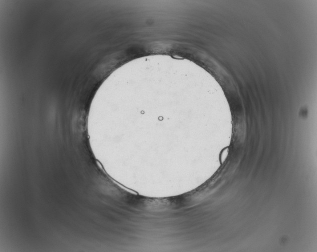 X0000116660525201001111252