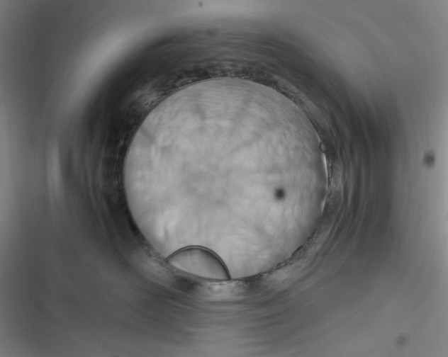X0000116660526201001111252