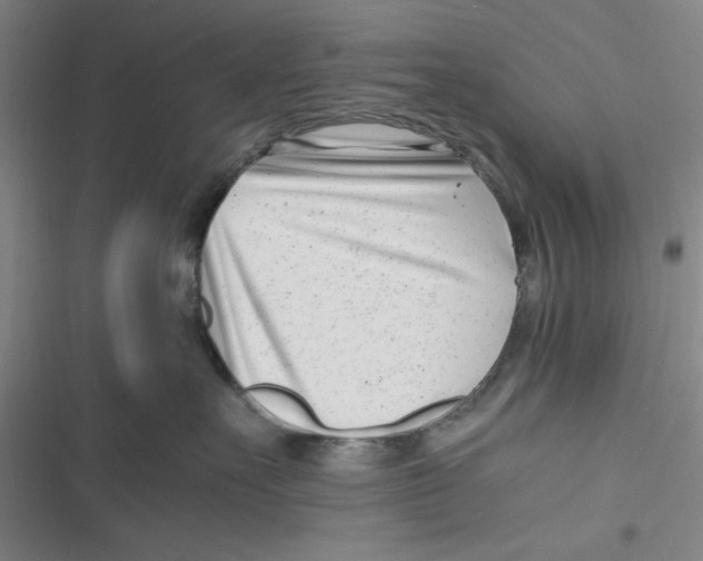 X0000116660527201001111252