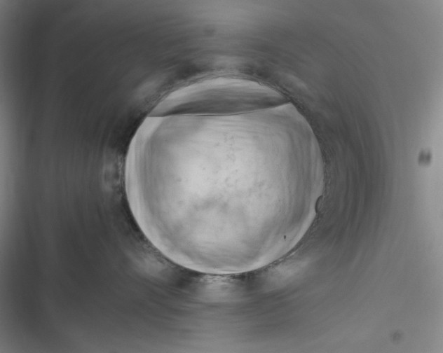 X0000116660528201001111252