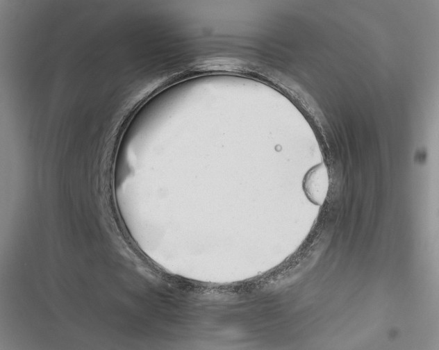X0000116660529201001111252