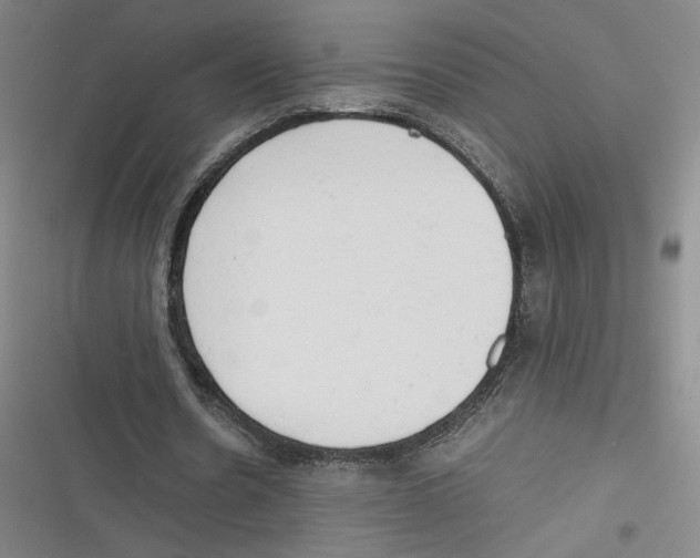 X0000116660530201001111252