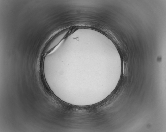 X0000116660531201001111252