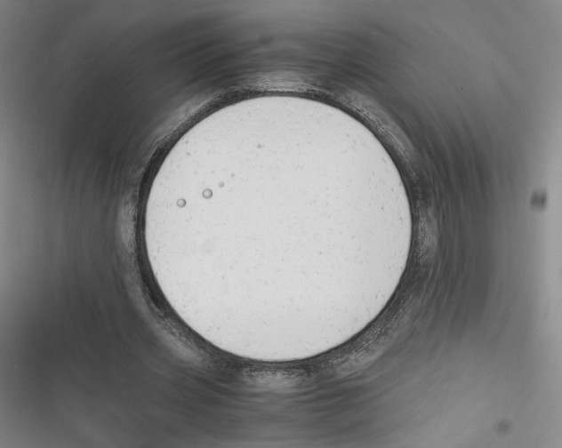 X0000116660533201001111252