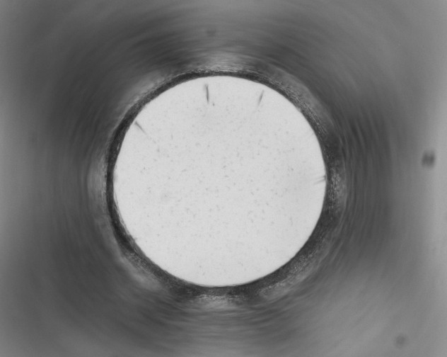 X0000116660534201001111252