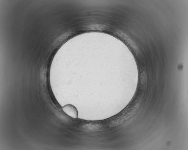 X0000116660537201001111252