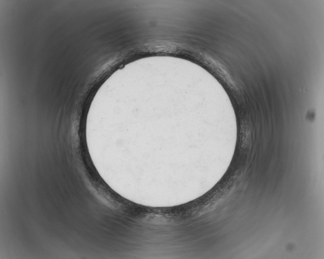 X0000116660538201001111252