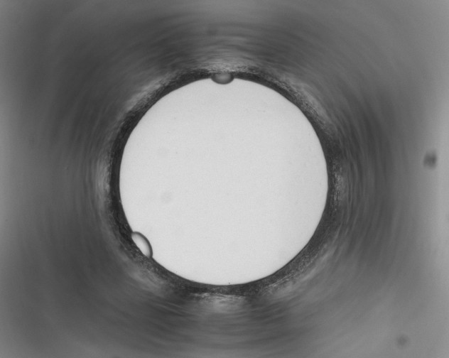 X0000116660539201001111252