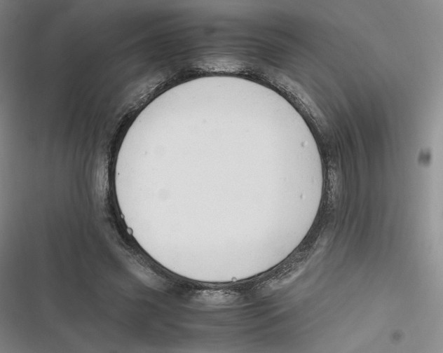 X0000116660541201001111252
