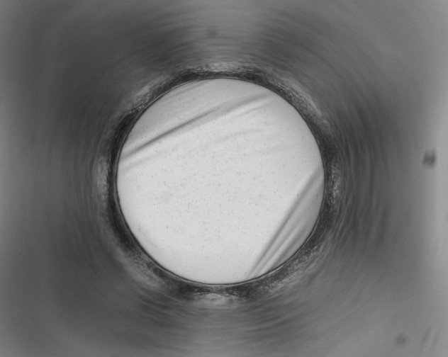 X0000116660542201001111252