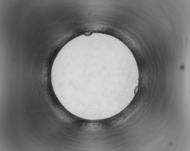 X0000116660546201001111252