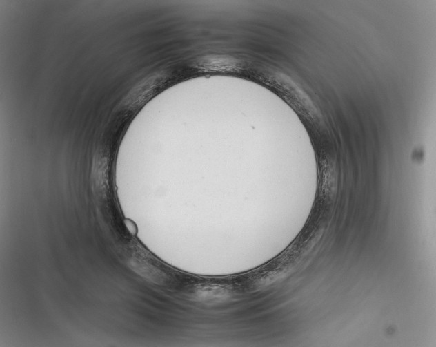 X0000116660549201001111252