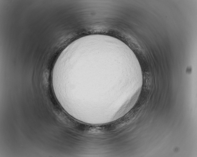 X0000116660550201001111252