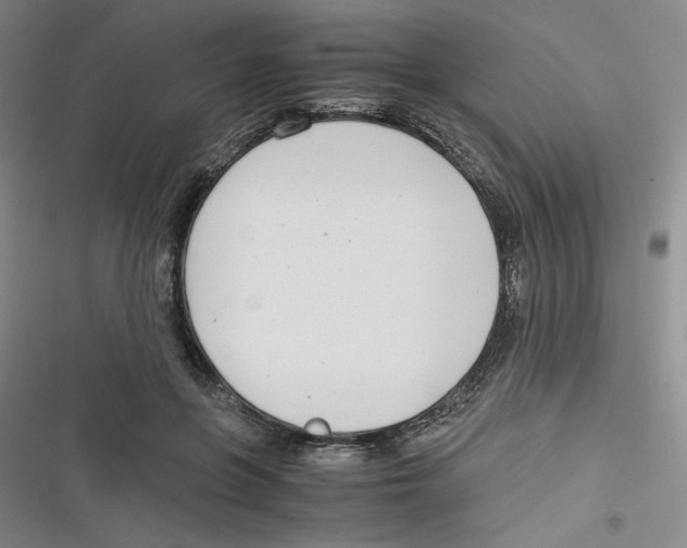 X0000116660551201001111252