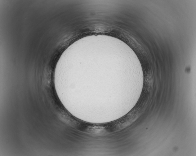 X0000116660554201001111252