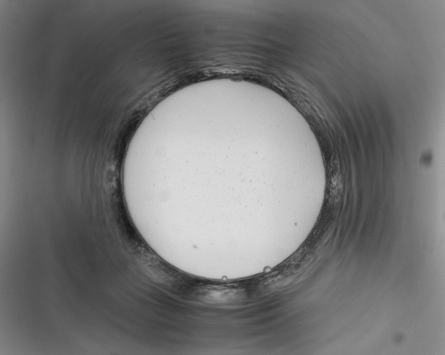 X0000116660555201001111252