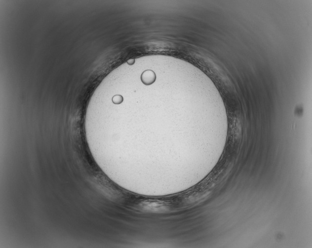 X0000116660557201001111252