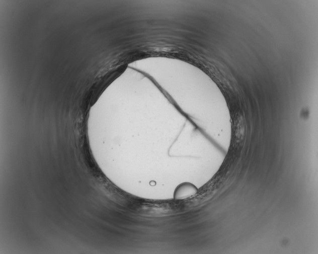 X0000116660559201001111252