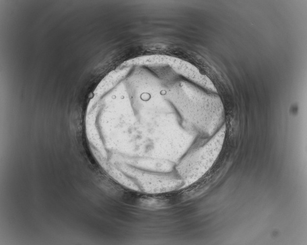X0000116660561201001111252