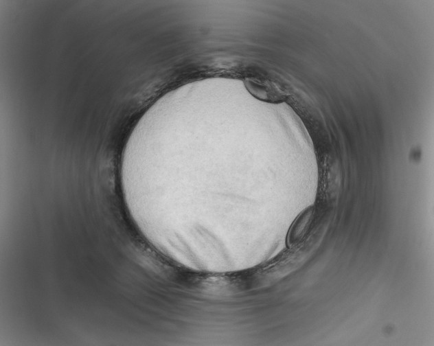 X0000116660562201001111252