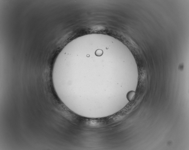 X0000116660565201001111252