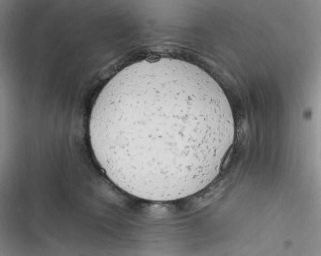 X0000116660566201001111252