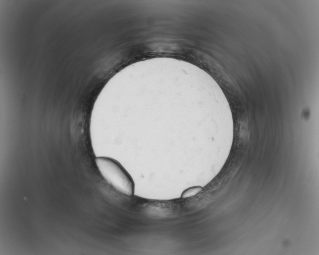 X0000116660567201001111252