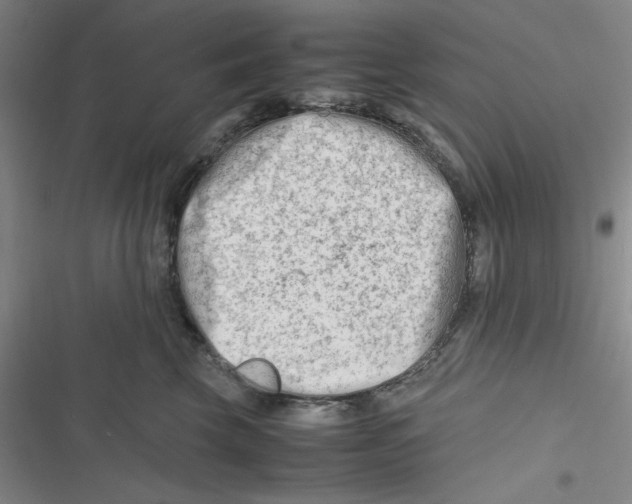 X0000116660569201001111252