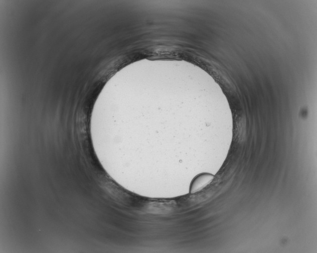 X0000116660571201001111252