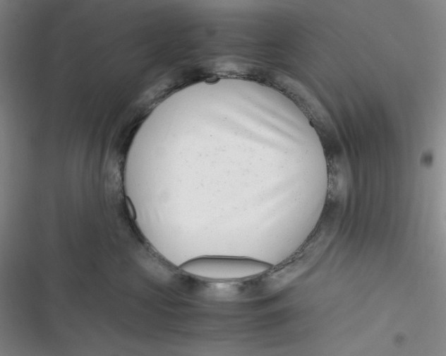 X0000116660573201001111252