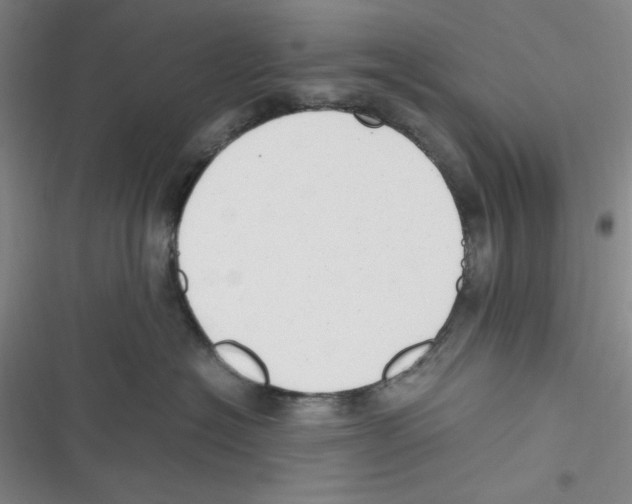 X0000116660574201001111252