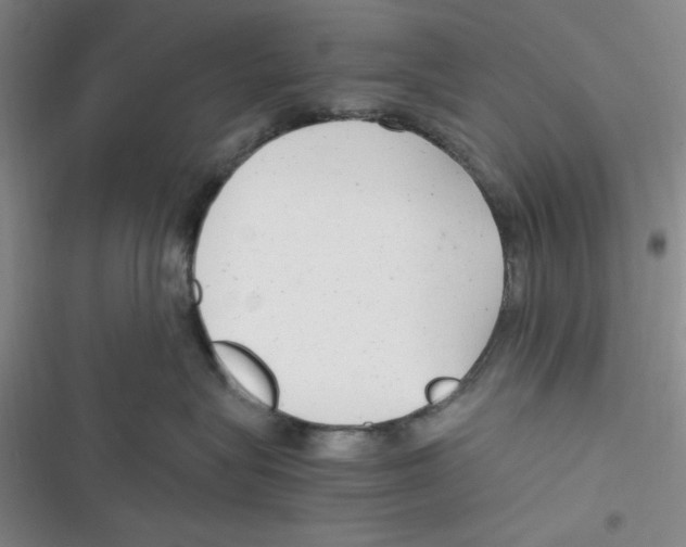 X0000116660575201001111252