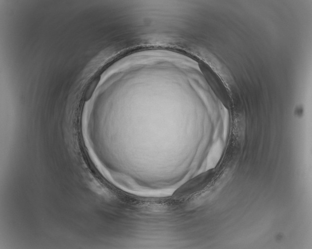 X0000116660577201001111252
