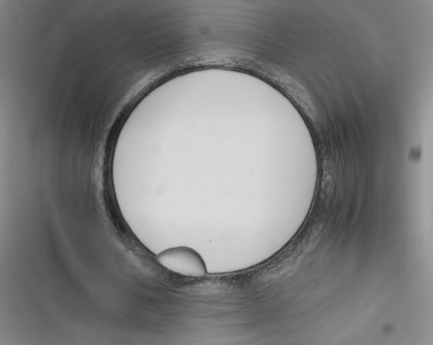 X0000116660578201001111252