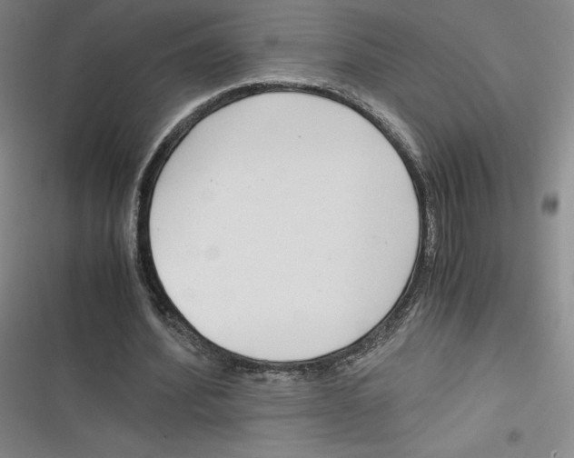 X0000116660580201001111252