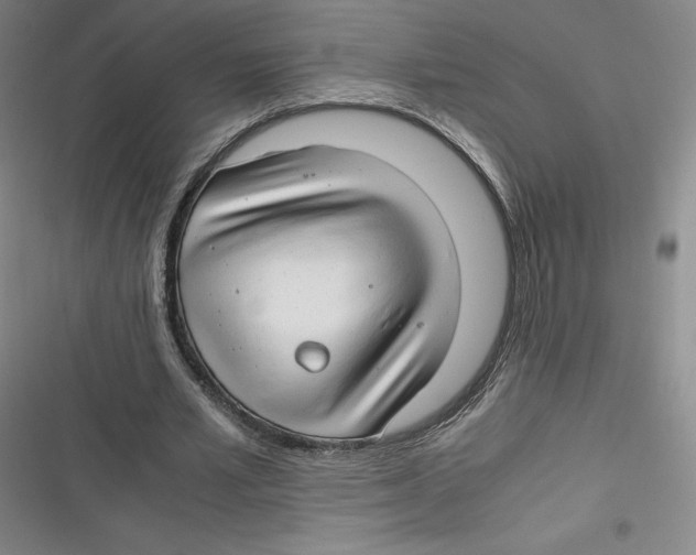 X0000116660581201001111252