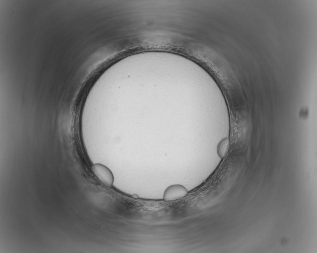 X0000116660583201001111252