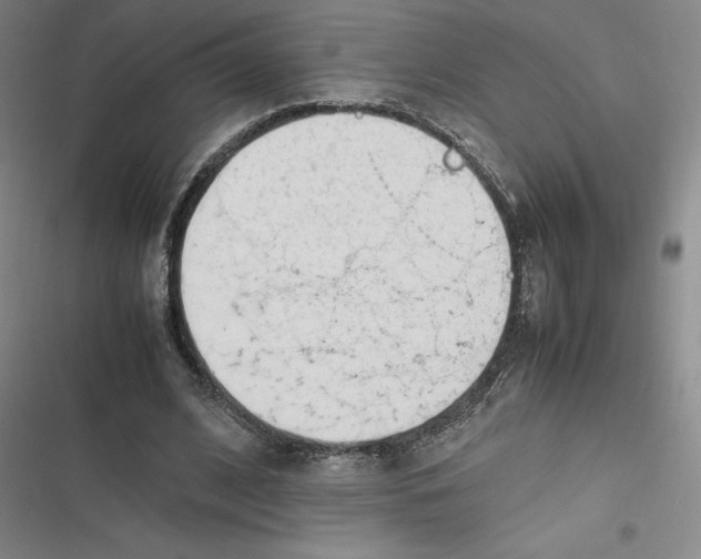 X0000116660584201001111252
