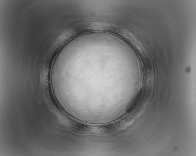 X0000116660585201001111252