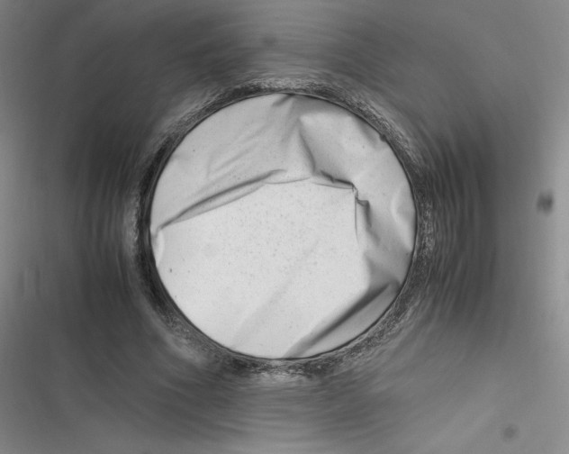 X0000116660586201001111252