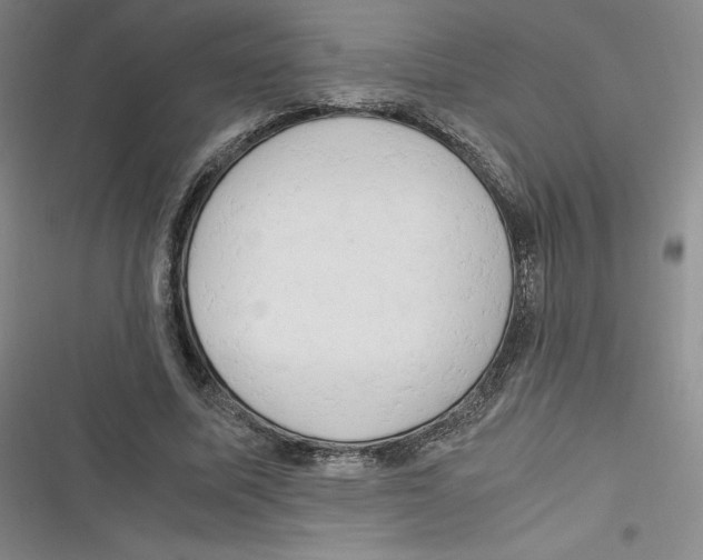 X0000116660587201001111252