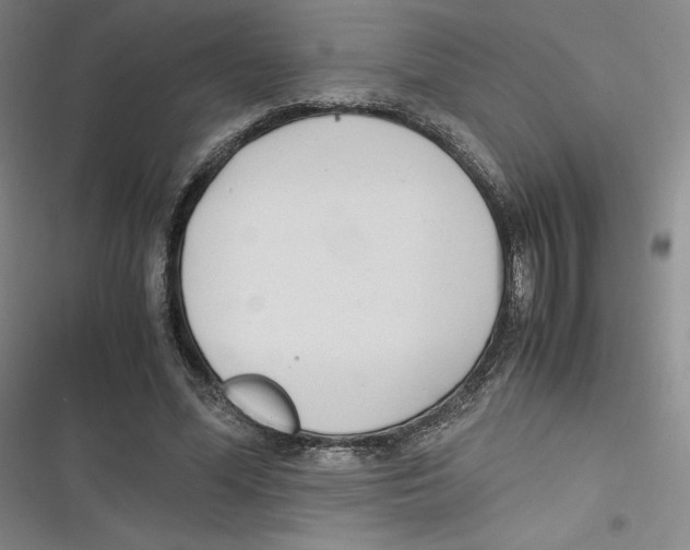 X0000116660588201001111252