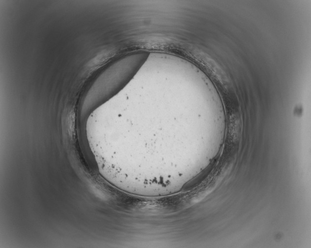 X0000116660589201001111252