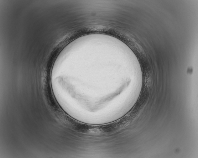 X0000116660591201001111251