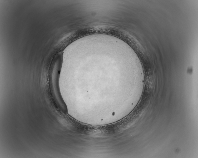 X0000116660593201001111251