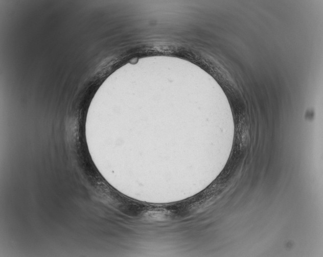 X0000116660595201001111251