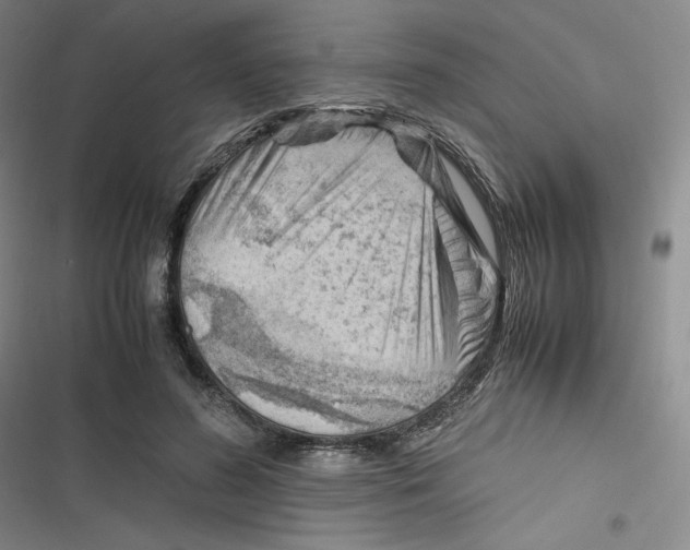 X0000116660596201001111251