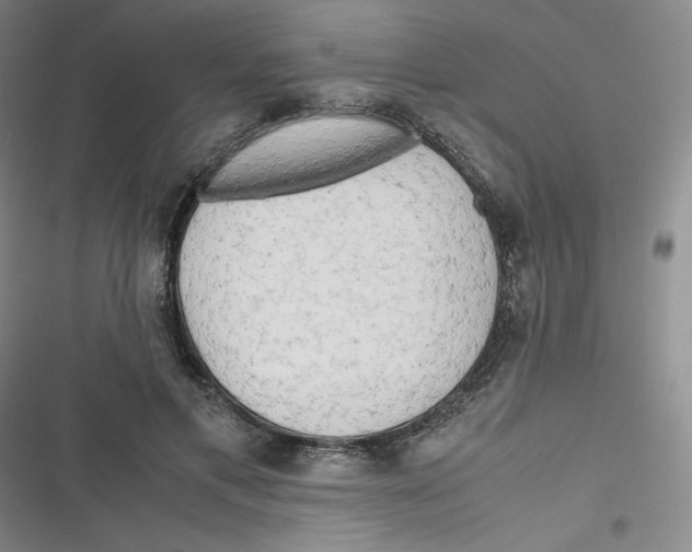 X0000116660597201001111251